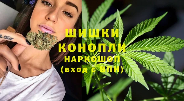 индика Богородицк