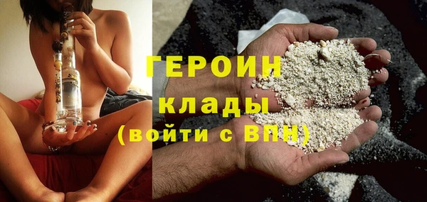 индика Богородицк