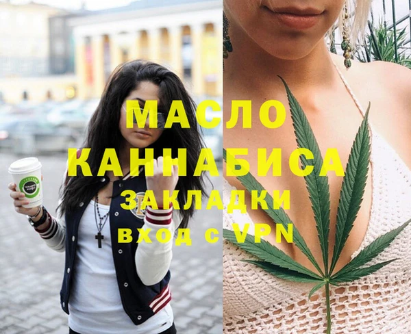 индика Богородицк