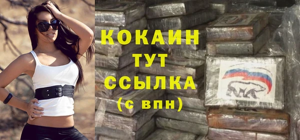 индика Богородицк