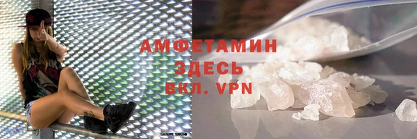 индика Богородицк