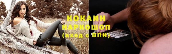 индика Богородицк