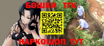 индика Ахтубинск