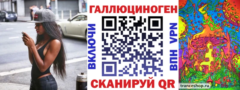 Галлюциногенные грибы Psilocybine cubensis Гудермес