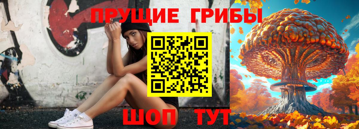 Псилоцибиновые грибы Magic Shrooms Гудермес